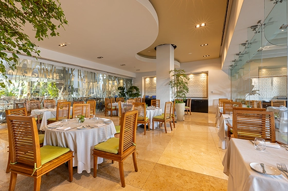 Los Mejores Restaurantes en Punta de Mita 